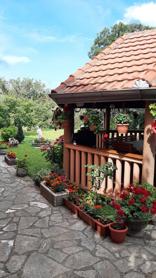 Apartmani "Dukic" Pelinovo Luaran gambar