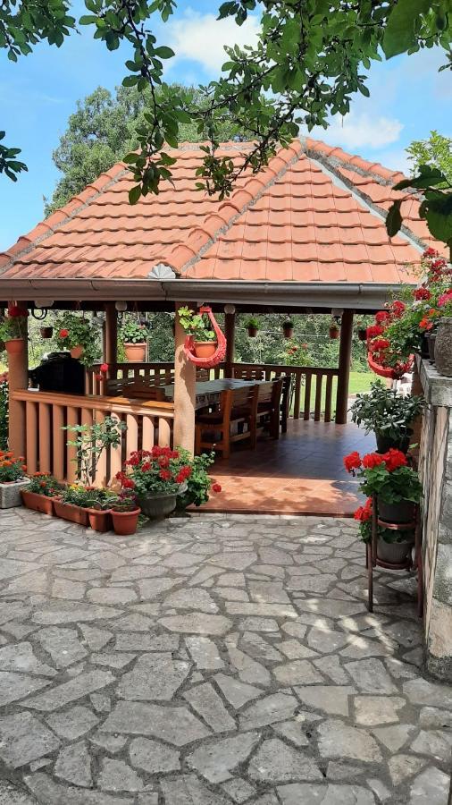 Apartmani "Dukic" Pelinovo Luaran gambar