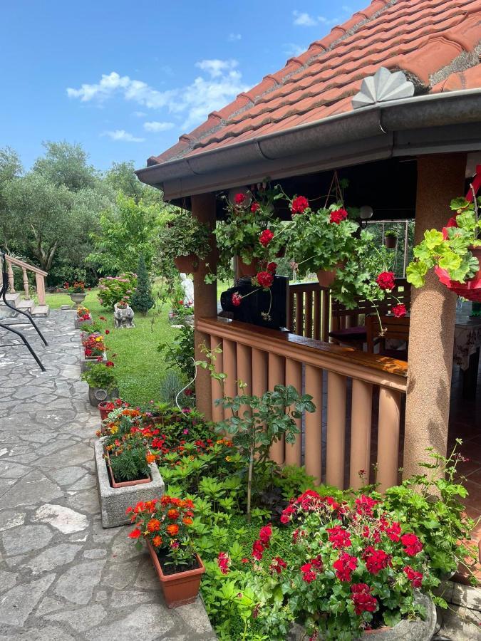 Apartmani "Dukic" Pelinovo Luaran gambar