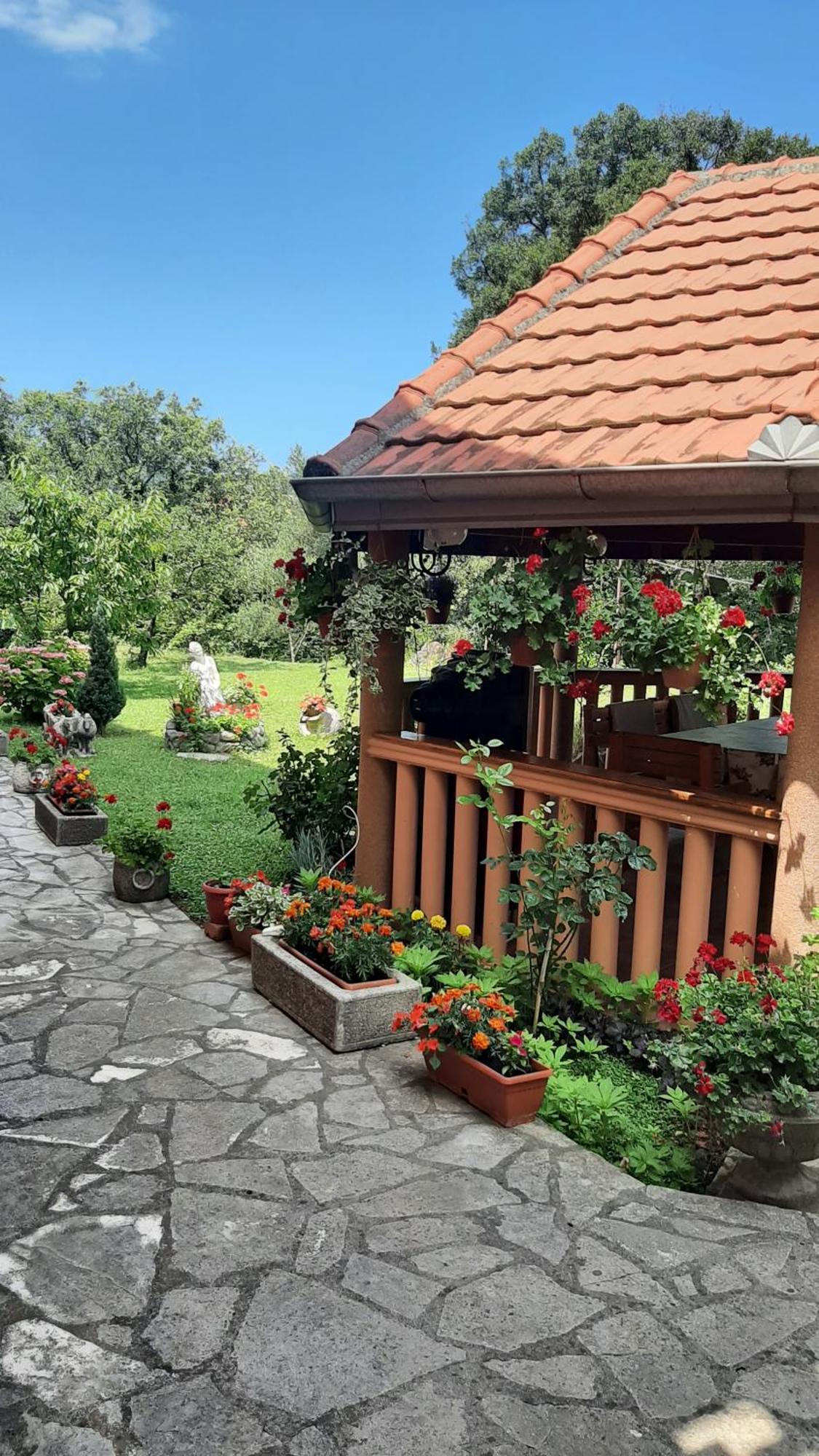 Apartmani "Dukic" Pelinovo Bilik gambar