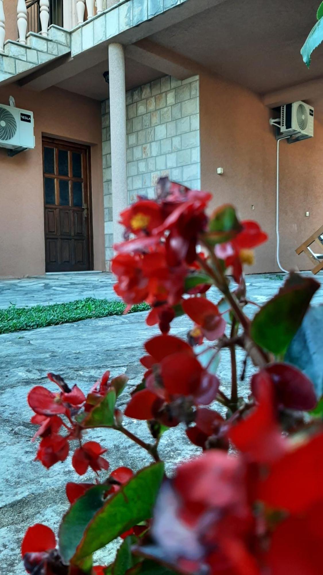 Apartmani "Dukic" Pelinovo Bilik gambar