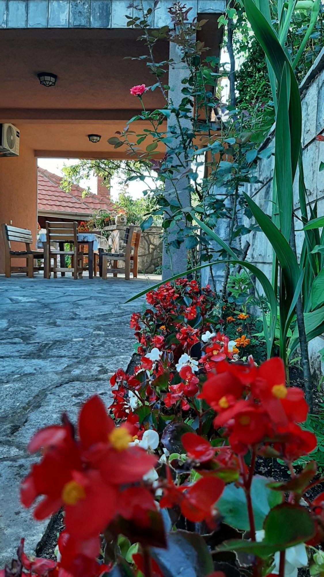 Apartmani "Dukic" Pelinovo Bilik gambar