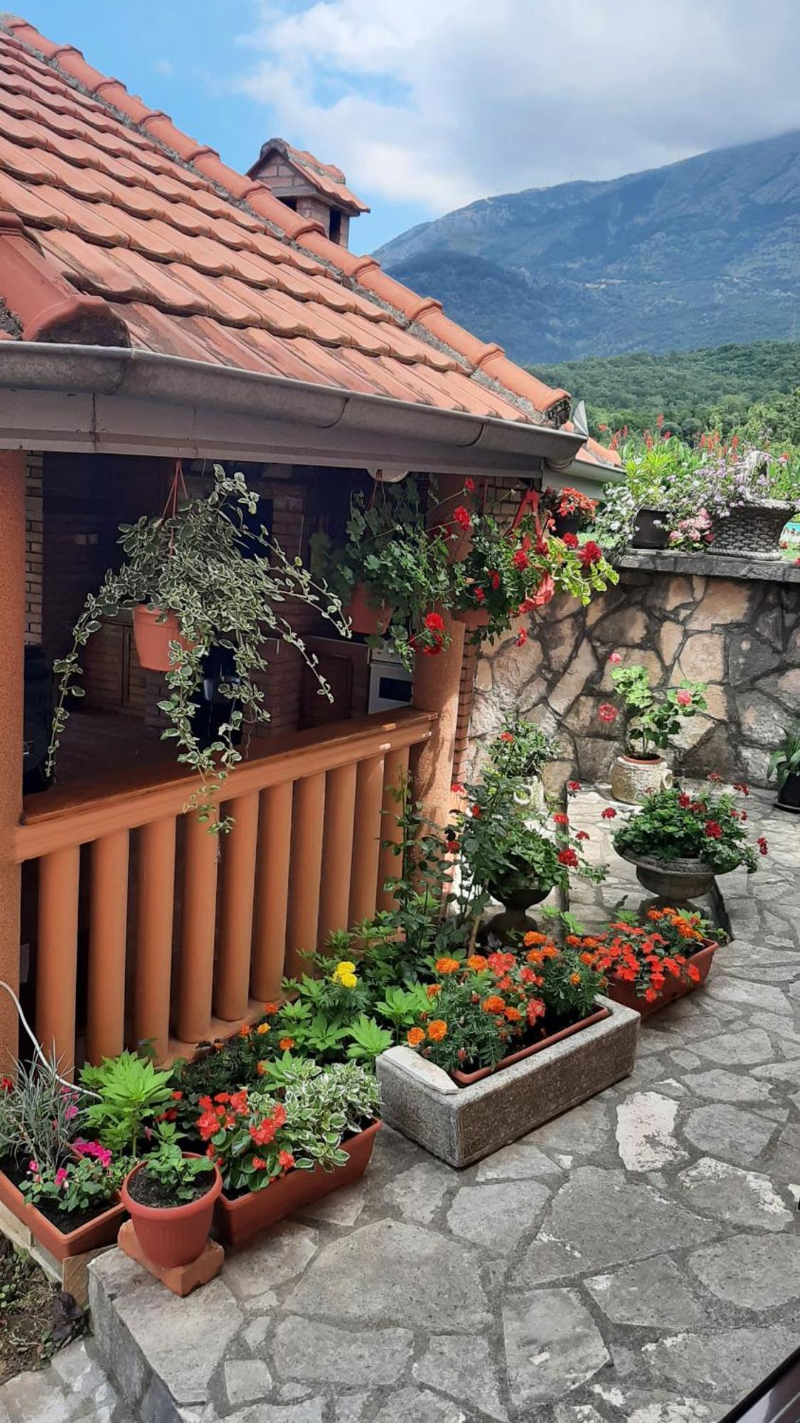 Apartmani "Dukic" Pelinovo Bilik gambar