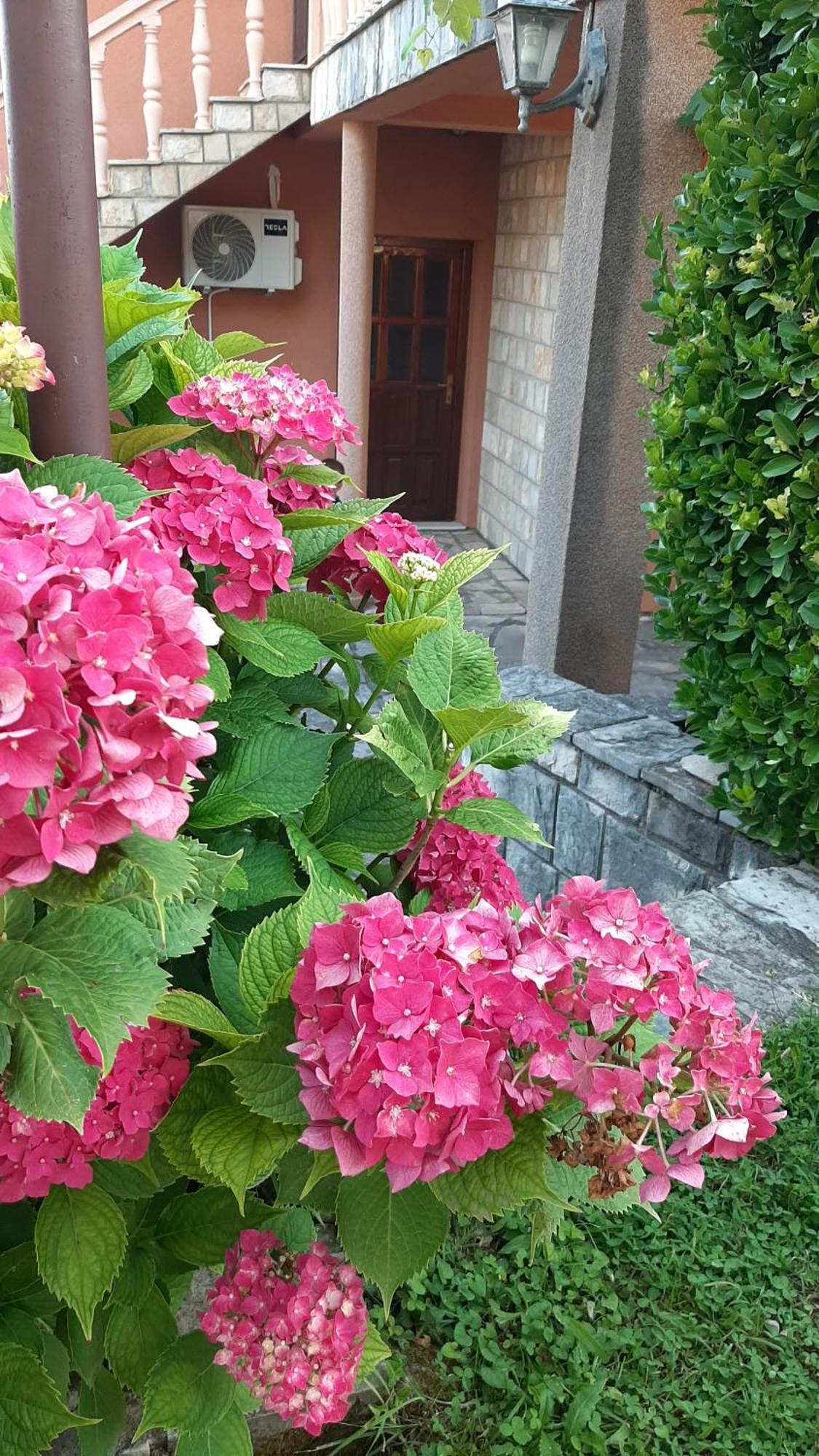 Apartmani "Dukic" Pelinovo Bilik gambar