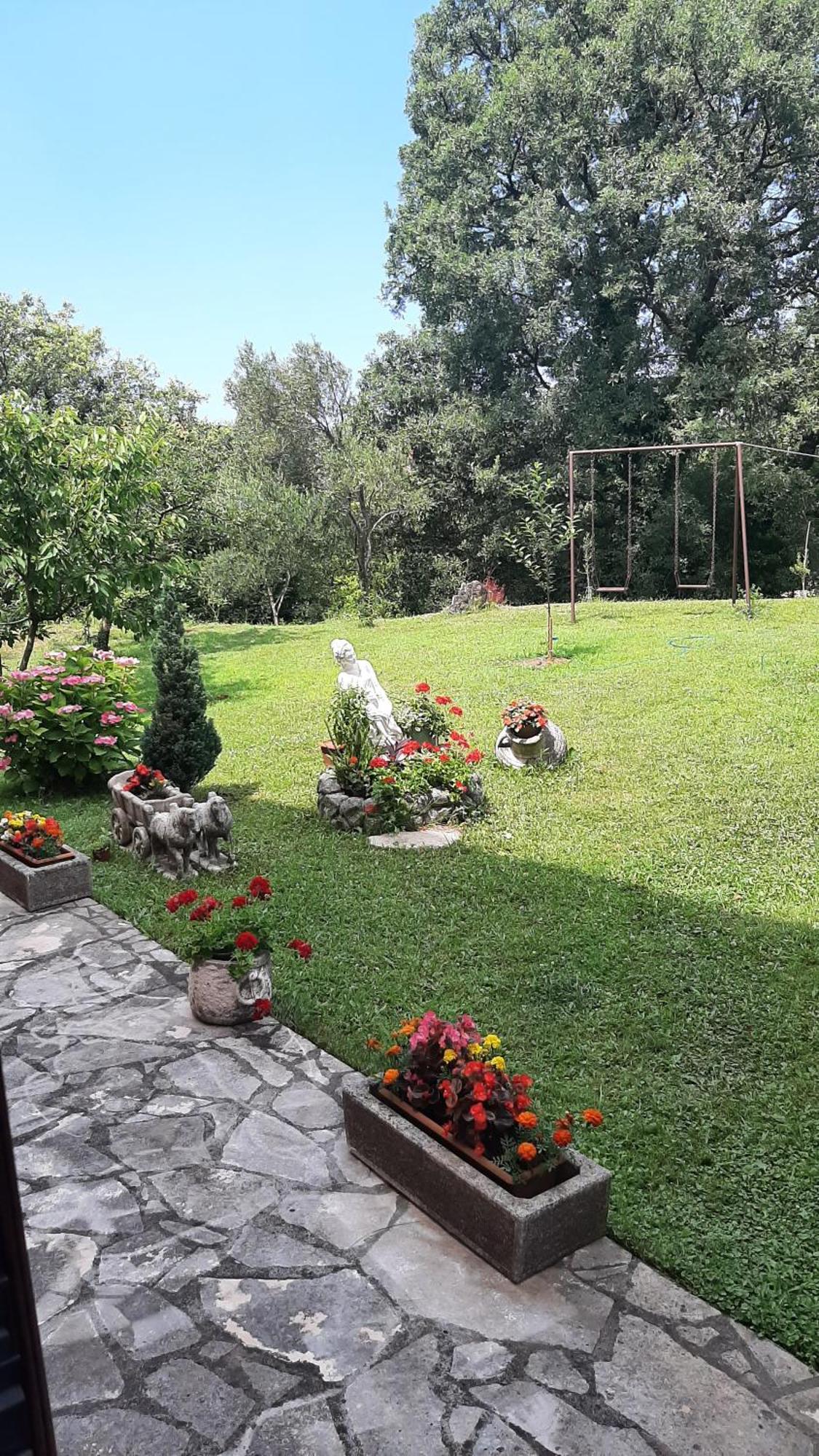 Apartmani "Dukic" Pelinovo Bilik gambar