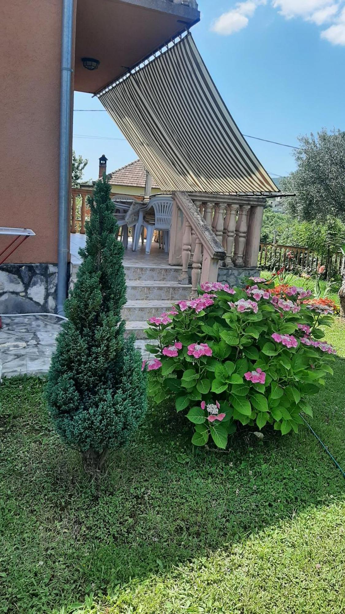 Apartmani "Dukic" Pelinovo Bilik gambar